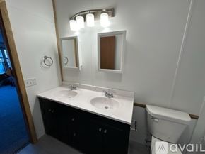 Houghton apartment for rent - A bathroom with a white countertop and a toilet.