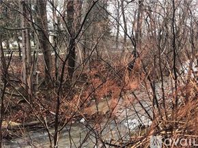 Lemont Furnace house for rent - A river flows through a forest of leafless trees.
