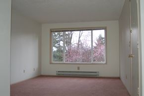 Federal Way apartment for rent - Empty room with a window overlooking a tree with pink flowers.