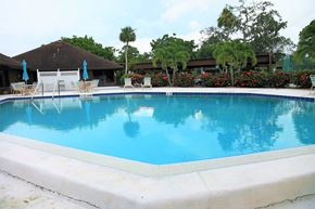 Bradenton house for rent - A large swimming pool with a white lounge chair and umbrella.
