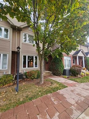London house for rent - A tree with green leaves is in front of a house.