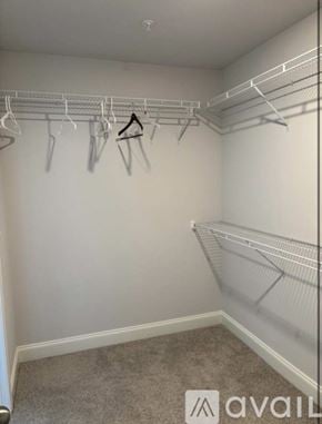 Spring Hill townhouse for rent - A white closet with a carpeted floor and a white wall.