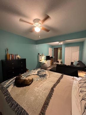 Kailua-Kona apartment for rent - A bedroom with a bed, a dresser, a couch, and a ceiling fan.