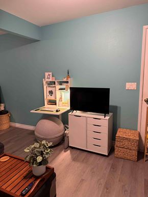 Kailua-Kona apartment for rent - A living room with a TV, a cabinet, and a plant.