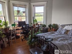 Boston apartment for rent - A bedroom with a bed, desk, chair, and plants.