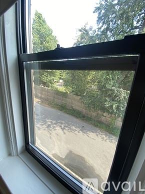 Boston apartment for rent - A window with a view of a tree and a fence outside.