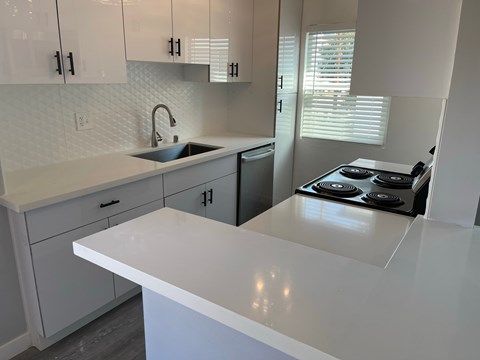 Floor plan for 1 bed, 1 bath