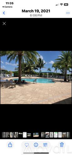 Naples condo for rent - A pool surrounded by palm trees.