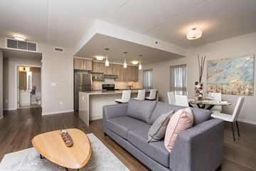Winnipeg apartment for rent - A modern living room with a grey couch and a wooden coffee table.