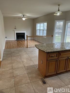 Owings Mills house for rent - A living room with a fireplace and a marble countertop.