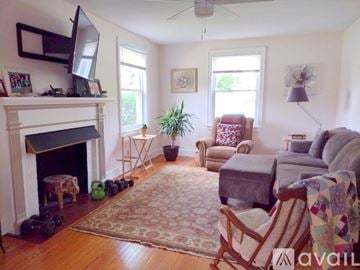 Roanoke apartment for rent - A living room with a fireplace and a television on the mantle.