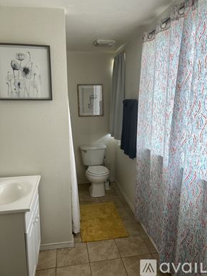 Twin Falls apartment for rent - A bathroom with a toilet, sink, and shower curtain.