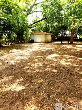 Albany house for rent - A shed sits in a yard with trees and a fence.