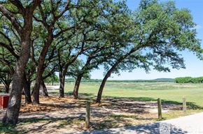 Lago Vista house for rent - A row of trees in a field with a clear blue sky.