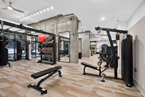 Atlanta apartment for rent - A gym with a variety of equipment including a squat rack, bench press, and a weight rack.
