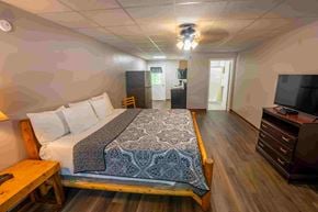 Buchanan apartment for rent - A bedroom with a large bed and a television.