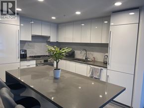 Richmond apartment for rent - A modern kitchen with a large island and a plant in a white pot.