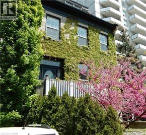 Hamilton house for rent - A building with a green vine on the side.