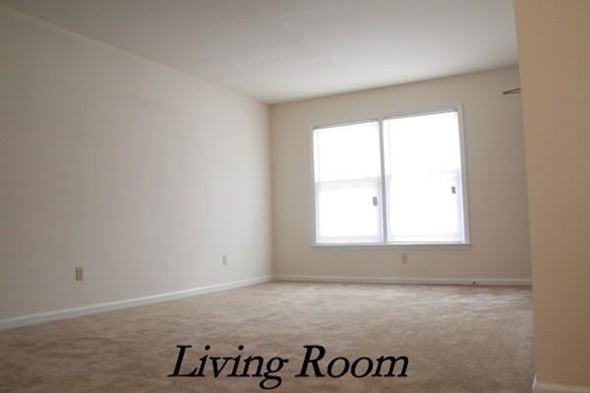 Newport News apartment for rent - a living room with a window and a carpet