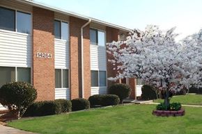 Newport News apartment for rent - a building with a flowering tree in front of it