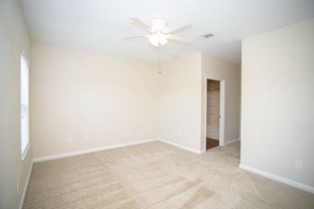 Ceiling fan