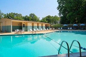 Fort Washington apartment for rent - the swimming pool at the resort on a sunny day
