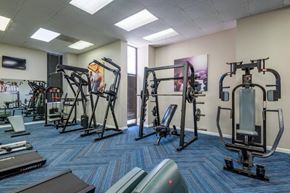 Newport News apartment for rent - exercise equipment in the gym at the monarch apartments in midtown