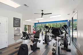 Parkville apartment for rent - the gym in the owner s suite
