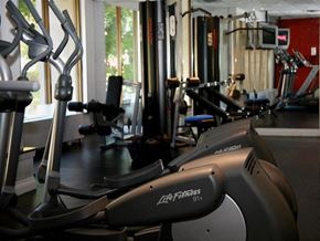 Toronto apartment for rent - A gym with treadmills and elliptical machines.