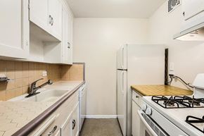 Denver apartment for rent - 1200 St Paul Apartments in Denver, CO