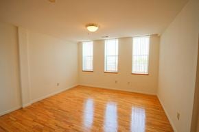 Newark apartment for rent - living room with 3 windows, hardwood floors and white walls