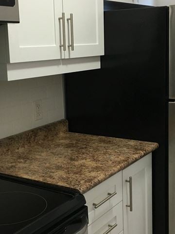 Toronto apartment for rent - A black refrigerator sits next to a granite countertop in a kitchen.