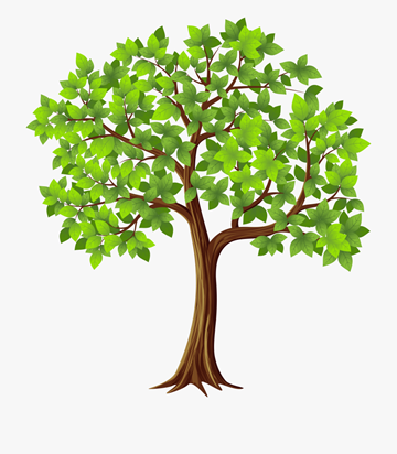 Amarillo apartment for rent - A tree with green leaves and brown trunk.