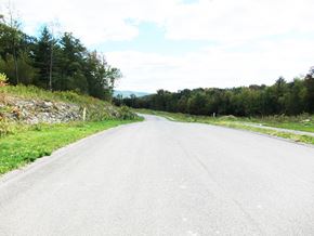 Pittsfield apartment for rent - A road stretches into the distance surrounded by trees and grass.