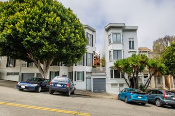 San Francisco apartment for rent - A tree with green leaves is in front of a white building.