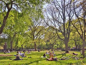 New York apartment for rent - people sitting in the grass in a park