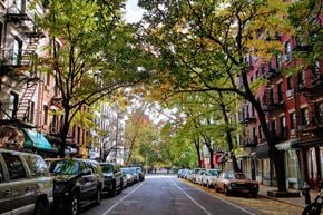 New York apartment for rent - a city street in the fall with cars parked on the side