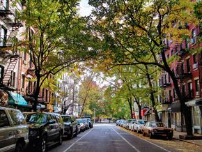New York apartment for rent - A tree-lined street with cars parked on both sides.