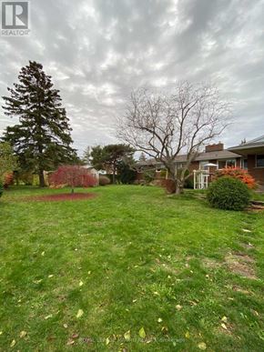 Hamilton (Fruitland) house for rent - A grassy yard with a tree and a house in the background.