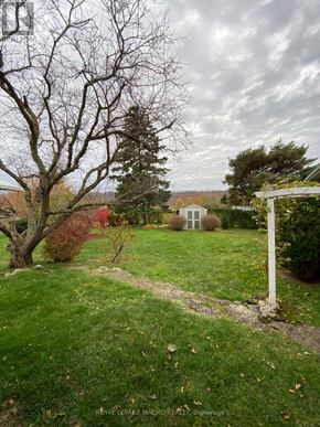 Hamilton (Fruitland) house for rent - A tree with no leaves stands in a yard.