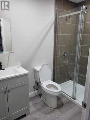 Niagara Falls (Dorchester) house for rent - A bathroom with a toilet, sink, and shower.