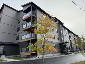 Fredericton apartment for rent - A tree with orange leaves stands in front of a grey apartment building.