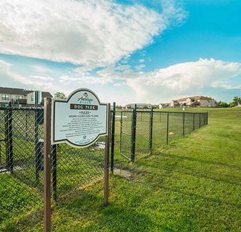 Dog park area