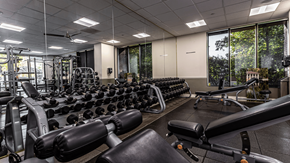 Denver apartment for rent - A gym with a variety of equipment including dumbbells, weight machines, and a bench press.