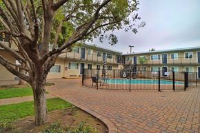 Mountain View apartment for rent - our apartments have a large pool and a courtyard with a tree