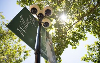 Downtown festivals and events