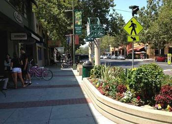 Discover downtown willow glen