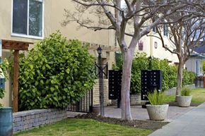 San Jose apartment for rent - a yard with a tree and a wrought iron gate