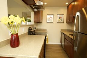 San Jose apartment for rent - a kitchen with a vase of flowers on the counter