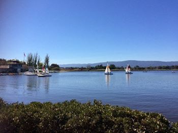 Visit shoreline lake